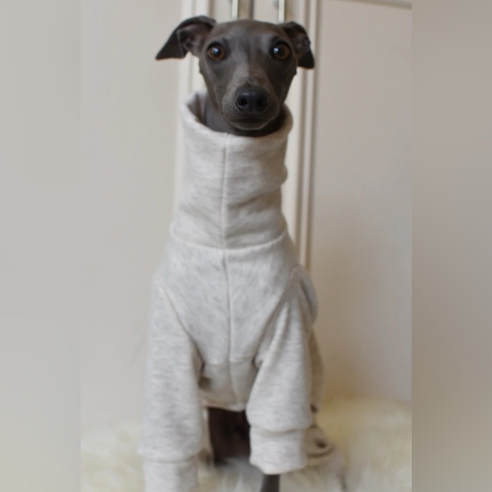 Hilary’s Hounds Sweater Weather Dog Cream Sweatshirt